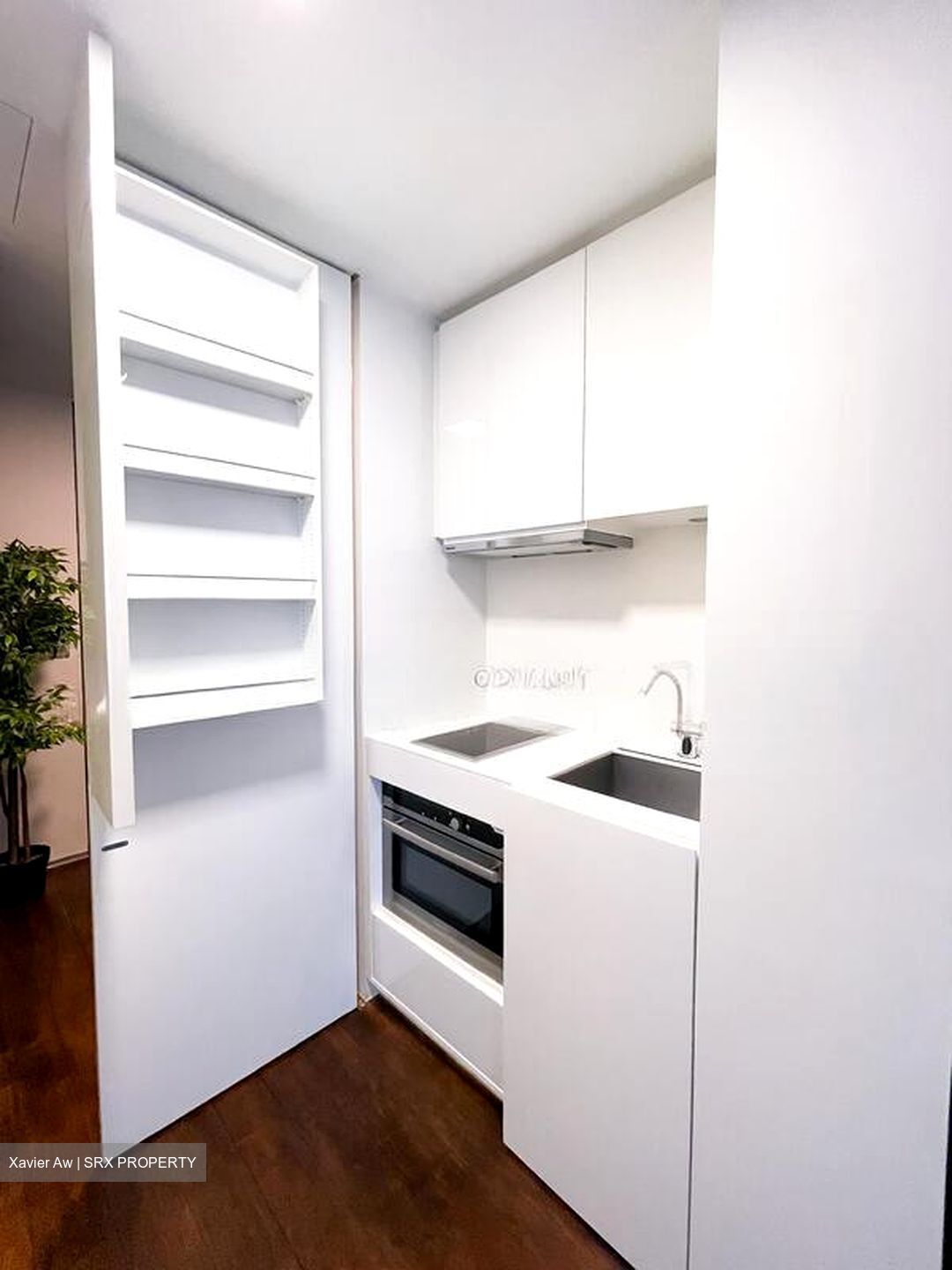 Skysuites@Anson (D2), Apartment #522276511